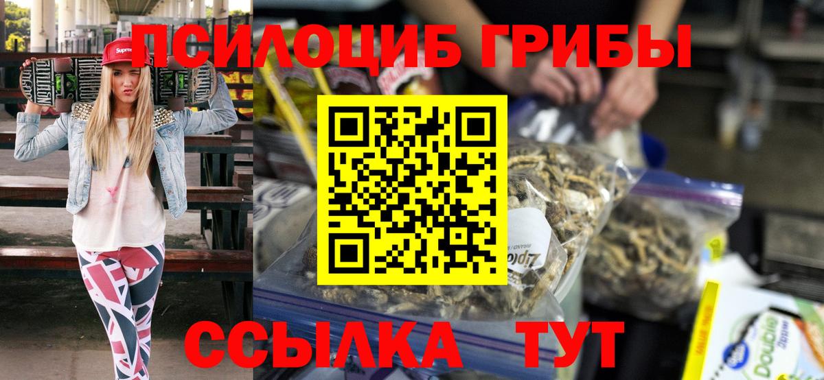 Псилоцибиновые грибы Psilocybine cubensis Городец